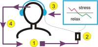 schéma séance biofeedback